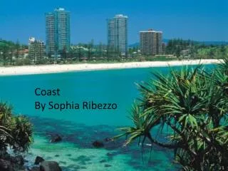 Coast By Sophia Ribezzo