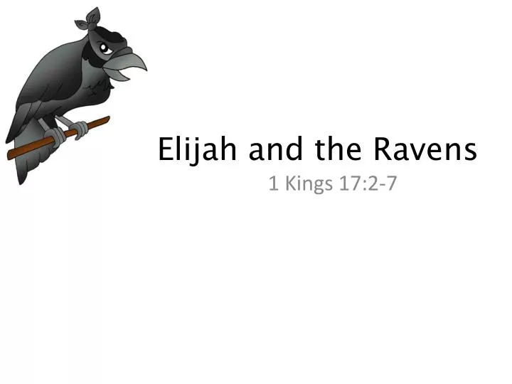 elijah and the ravens