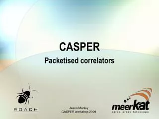 CASPER Packetised correlators