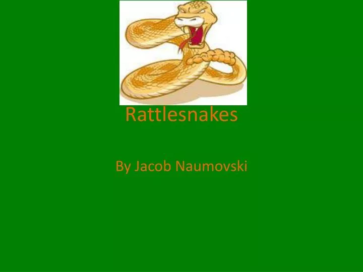 rattlesnakes