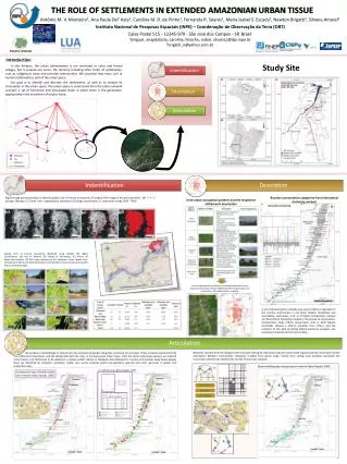 The role of settlements in extended Amazonian urban Tissue