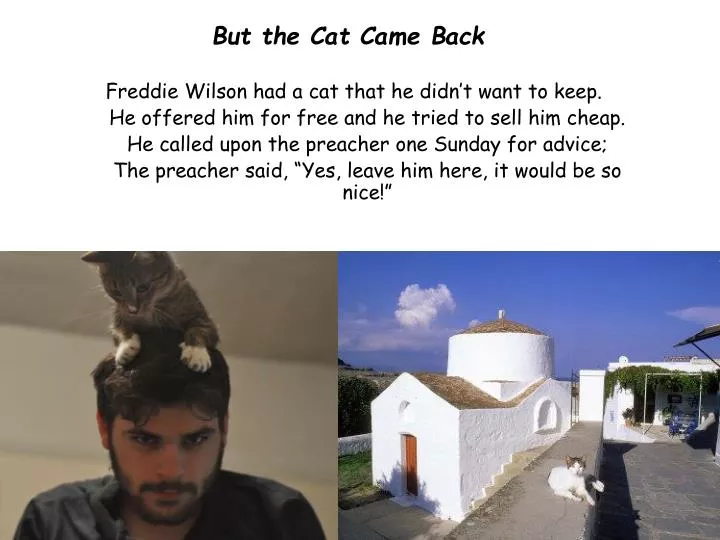 but the cat came back