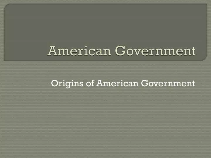 american government