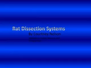 Rat Dissection Systems