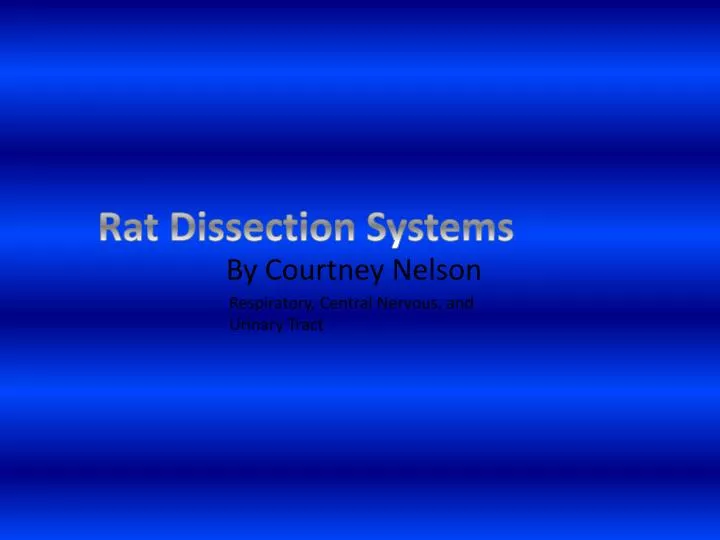 rat dissection systems