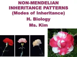 NON-MENDELIAN INHERITANCE PATTERNS (Modes of Inheritance) H. Biology Ms. Kim