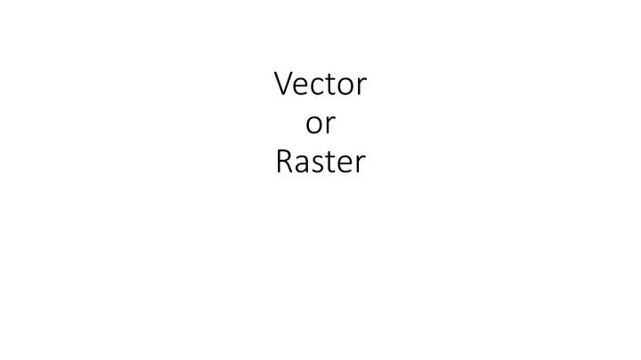 vector or raster