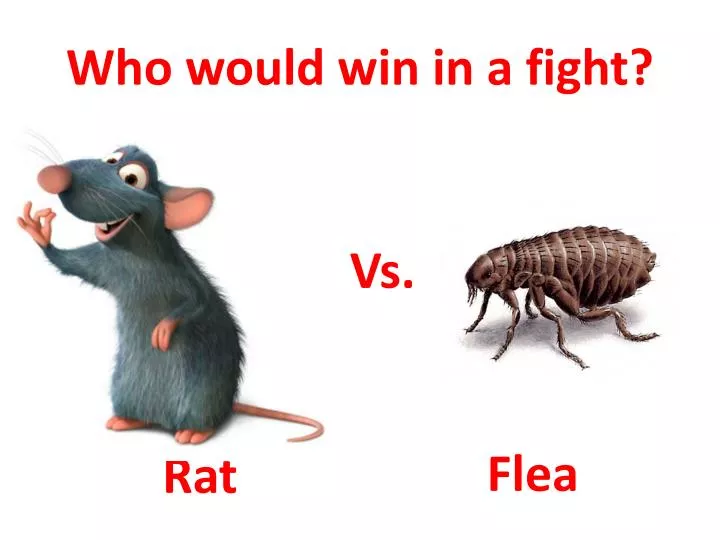who would win in a fight