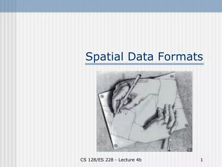 spatial data formats
