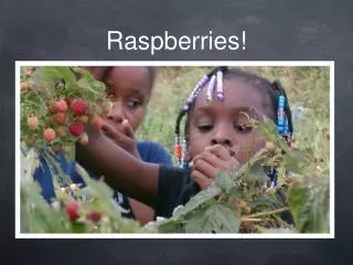 Raspberries!