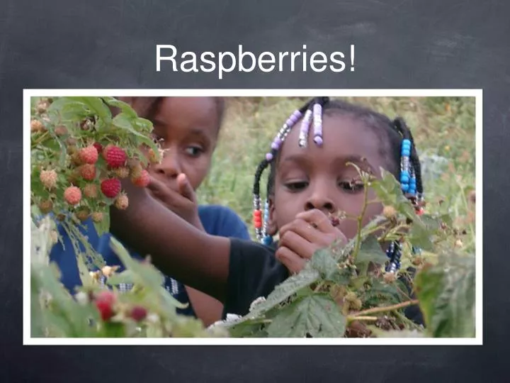 raspberries