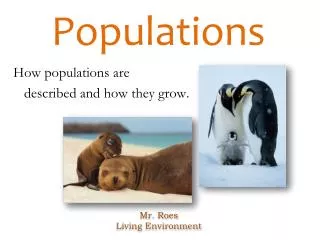 Populations