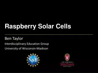 Raspberry Solar Cells