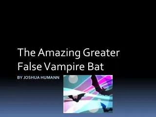 the amazing greater false vampire bat
