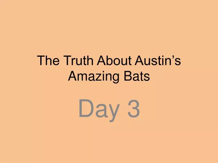 the truth about austin s amazing bats