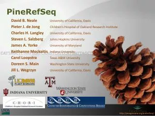 PineRefSeq