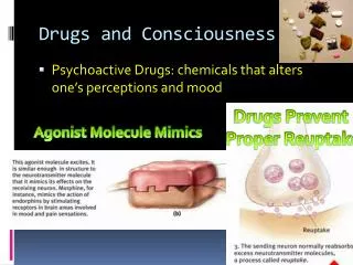 Drugs and Consciousness