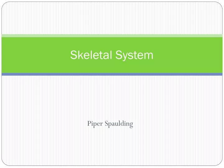 skeletal system