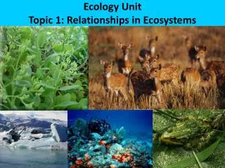 Ecology Unit Topic 1: Relationships in Ecosystems
