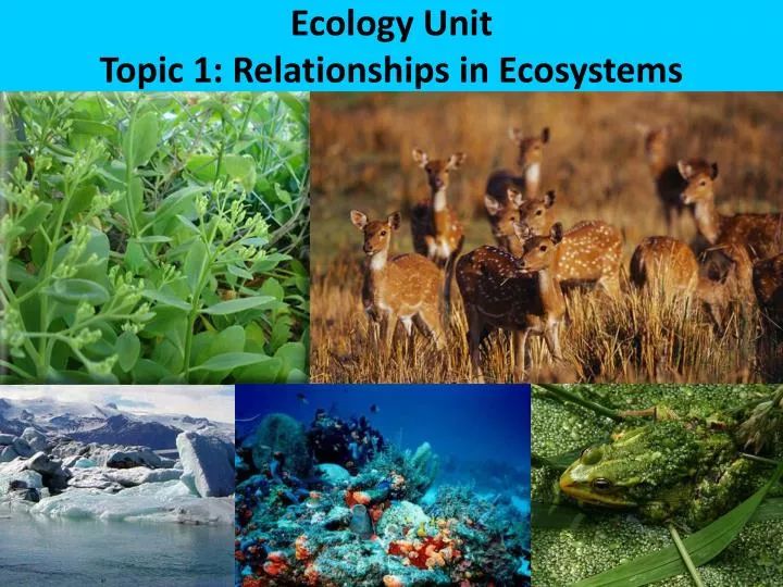 ecology unit topic 1 relationships in ecosystems