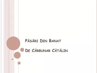 p s ri din banat de c rbunar c t lin