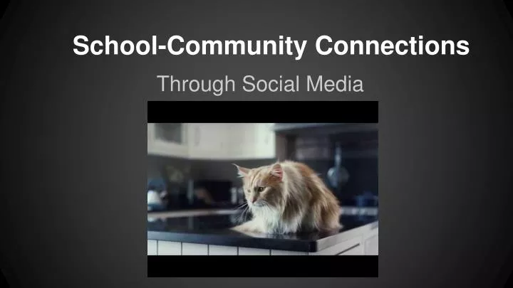 school community connections