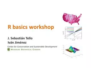 R basics workshop