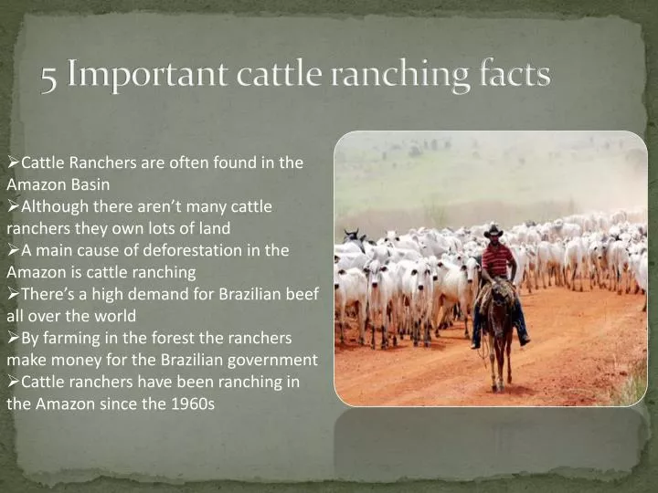 5 important cattle ranching facts