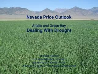 Nevada Price Outlook Alfalfa and Grass Hay Dealing With Drought