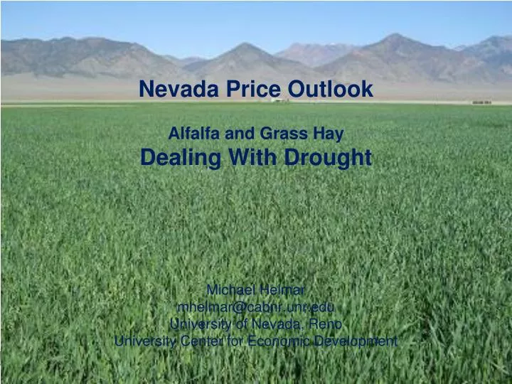 nevada price outlook alfalfa and grass hay dealing with drought
