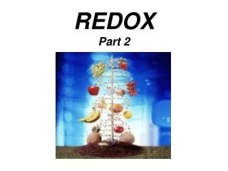 REDOX Part 2