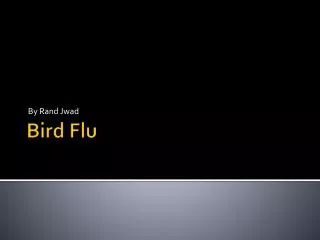 Bird Flu