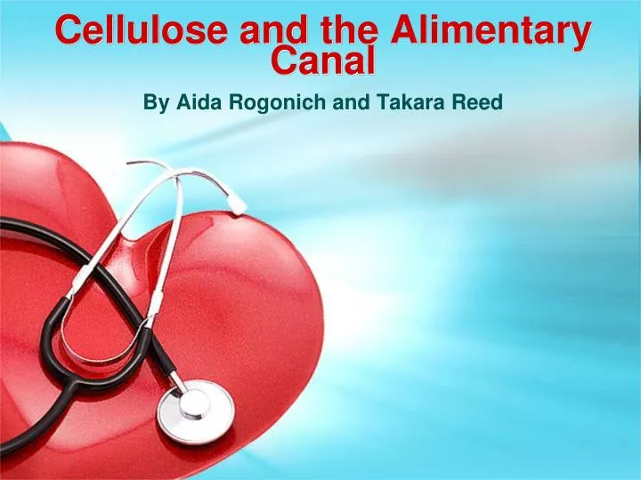 cellulose and the alimentary canal