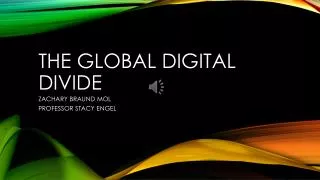 The Global Digital Divide
