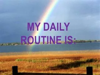 My daily routine is :