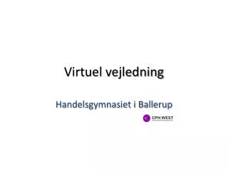 virtuel vejledning