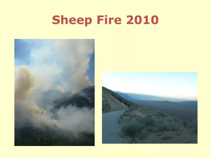 sheep fire 2010