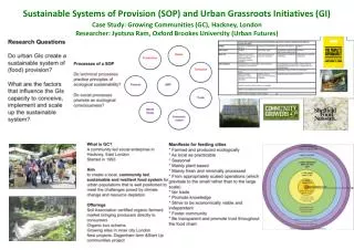 Sustainable Systems of Provision (SOP) and Urban Grassroots Initiatives (GI)
