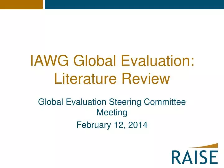 iawg global evaluation literature review