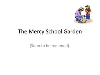 The Mercy School Garden