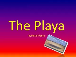 The Playa By:Rocio Franco