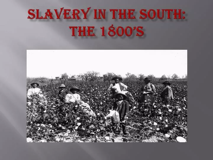 slavery in the south the 1800 s