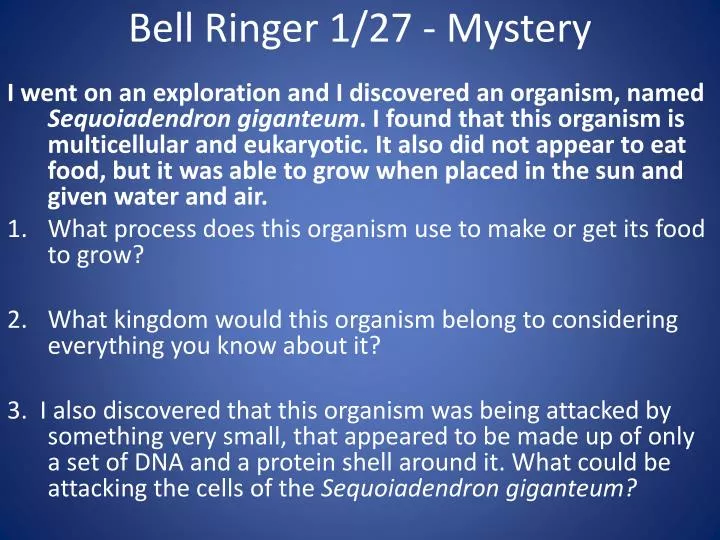 bell ringer 1 27 mystery