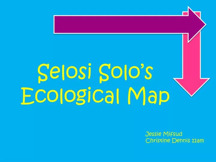 selosi solo s ecological map