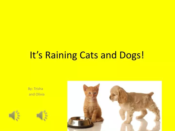 it s raining cats and dogs
