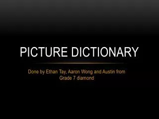 PICTURE DICTIONARY