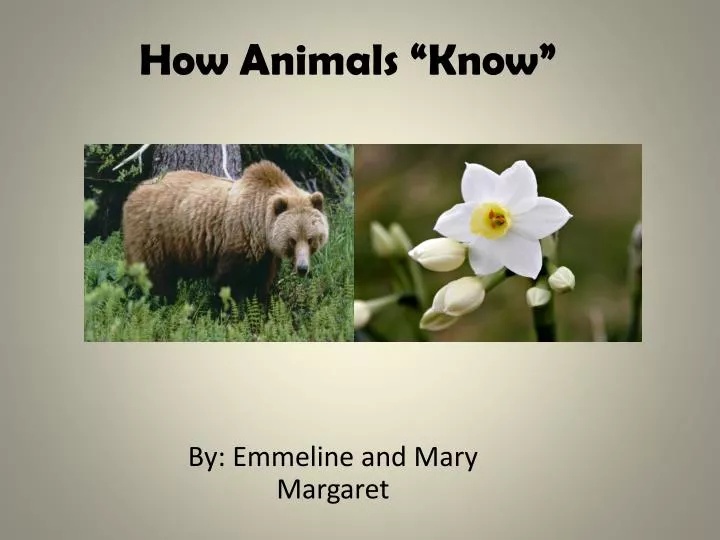 how animals know