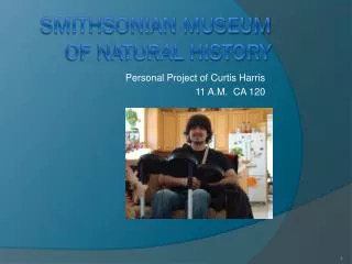 Smithsonian Museum Of Natural History