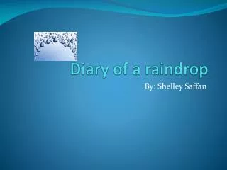 Diary of a raindrop