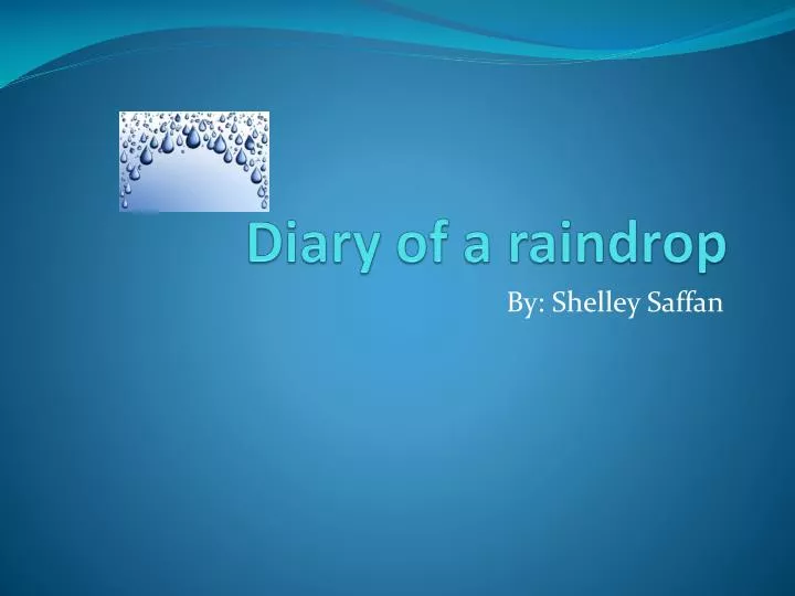 diary of a raindrop